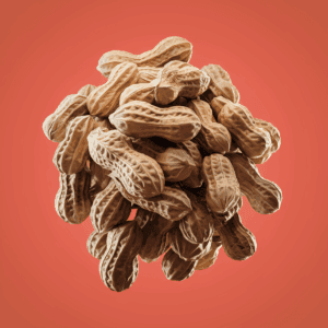 Cara Menanam Kacang Tanah 3 cara menanam kacang tanah