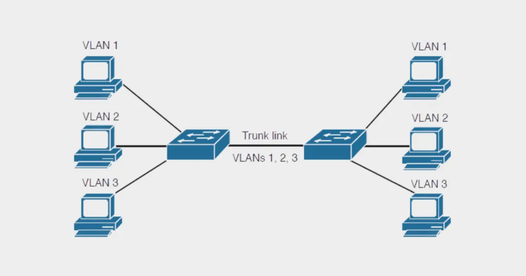 Trunk Adalah: Pengertian, Fungsi, dan Jenisnya Dalam Jaringan 1 Trunk Adalah