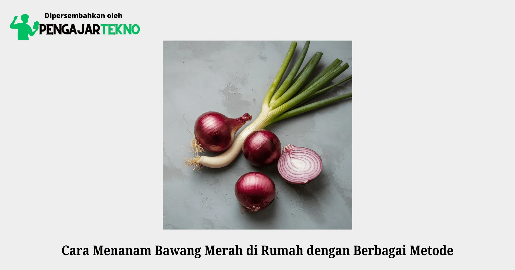 cara menanam bawang merah di rumah dengan berbagai metode
