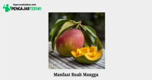 manfaat buah mangga