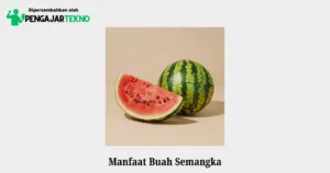 manfaat buah semangka