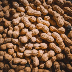 Cara Menanam Kacang Tanah 1 cara menanam kacang tanah