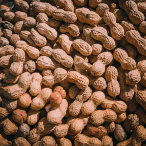 Cara Menanam Kacang Tanah 2 cara menanam kacang tanah