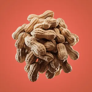 Cara Menanam Kacang Tanah 3 cara menanam kacang tanah